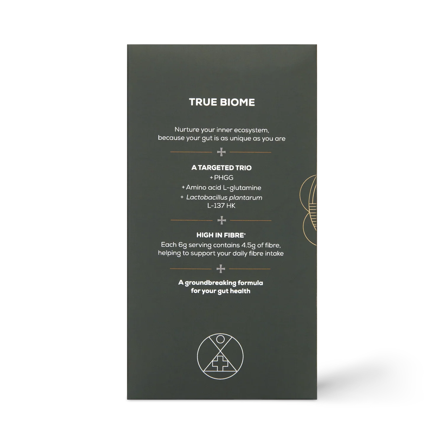 True Biome - Image 12
