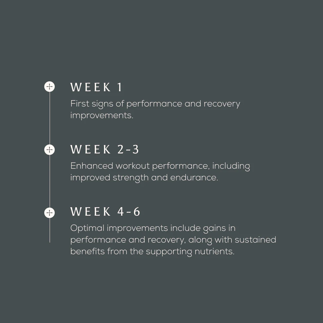 True Creatine+ - Image 4